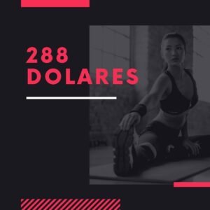 USD 288 dolares
