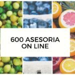 600 asesoria on line