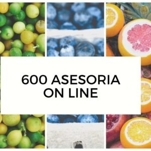 600 asesoria on line