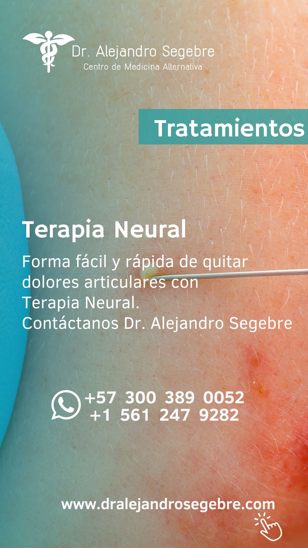 Story Terapia Neural Dr Segebre (1)